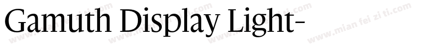Gamuth Display Light字体转换